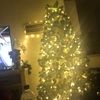 jenlax11